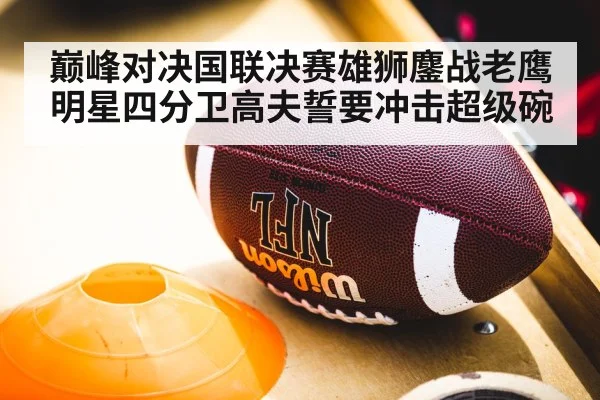 巅峰对决国联决赛雄狮鏖战老鹰 明星四分卫高夫誓要冲击超级碗