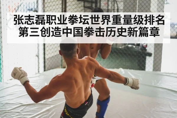 张志磊职业拳坛世界重量级排名第三创造中国拳击历史新篇章