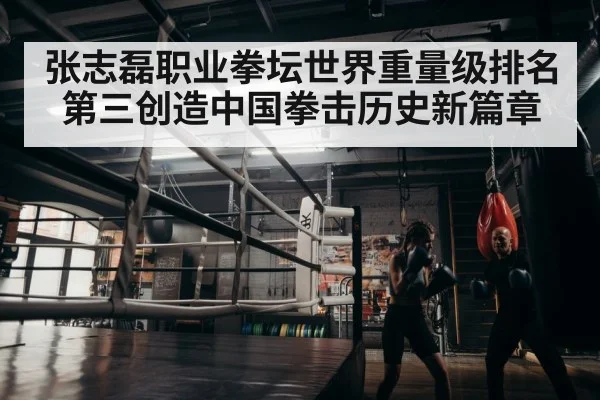 boxer training